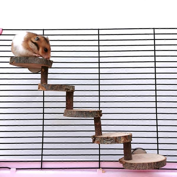 Chic Hamster Klatrelegetøj Gerbil Platform Hus til Fritter