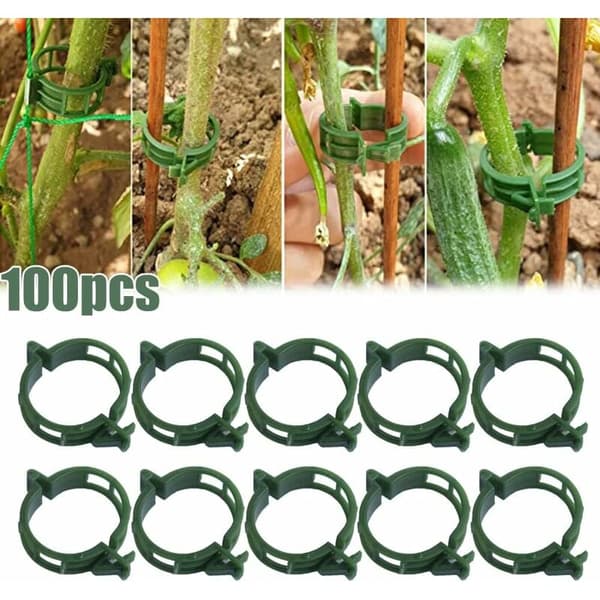 Plant Support Clips for Climbing Vegetables Tomato Plants 100 Pcs Green 2.5 cm