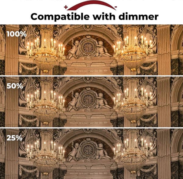 42W E14 C35 Dæmpbar halogenpære AC 220-240V Varm hvid 2700K e14 gennemsigtig halogenpære (10 stk.) [db]