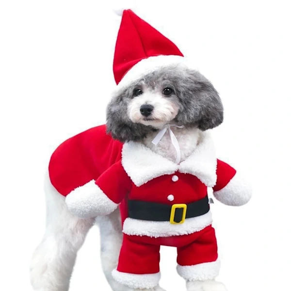 Julekostume til hund med hat