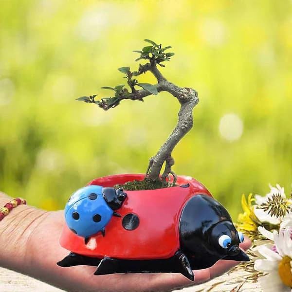 Red 5.3cm Diameter Flower Pot Decor Ladybug Shaped Smooth Surfaces Iron Planter for Garden