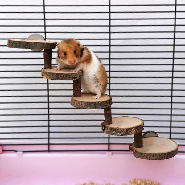 Chic Hamster Klatrelegetøj Gerbil Platform Hus til Fritter