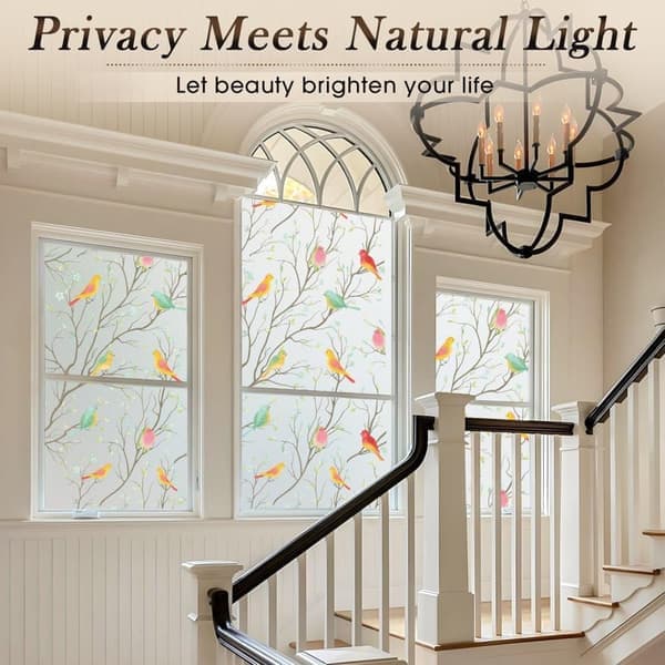 Privacy Window Film - Decorative Frosted Film with Tulip Pattern B B B