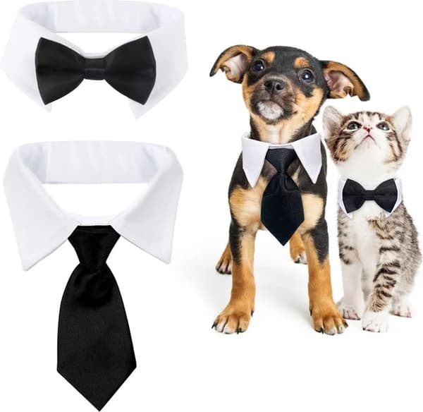 S - Pet Costume Set - Luxurious Pet Tie & Bow Tie