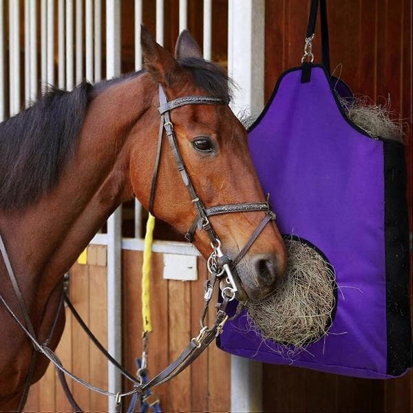 Practical and Beautiful Premium Durable Horse Slow Feed Hay Bag with Metal Snap and Heavy Duty Adjustable Strap
