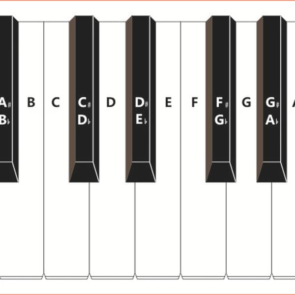 88-Key Piano Keyboard Practice Paper Comparison Chart Standard 1: