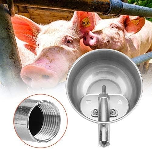Automatisk vannbeholder for dyr i rustfritt stål, Farm Grade DXGHC