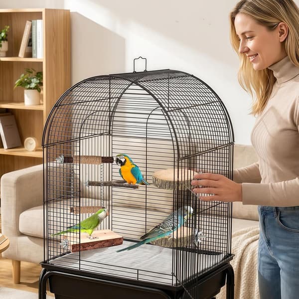 Siddepind til papegøjer Støttesæt med bakke af træ til fugle -