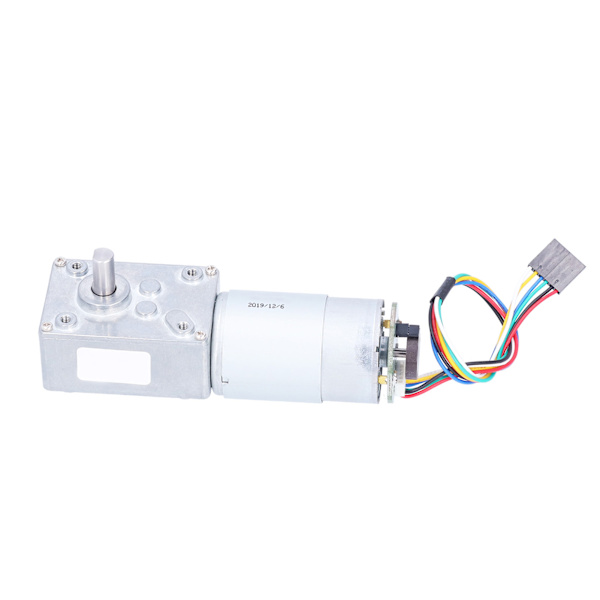 5840‑555 Selvlåsende snekkegear motor med høj moment reduktionsgear med encoder 160RPM DC24V