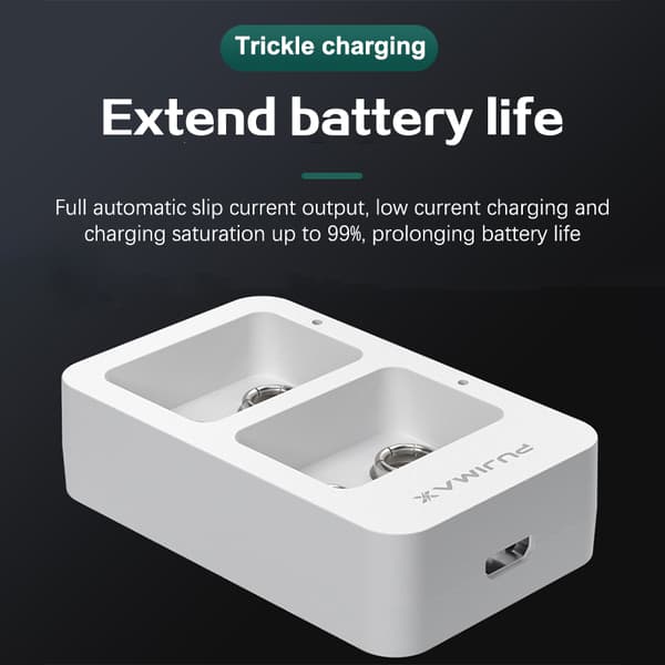 1 stk. 2-plads 9V Smart hurtig batterilader