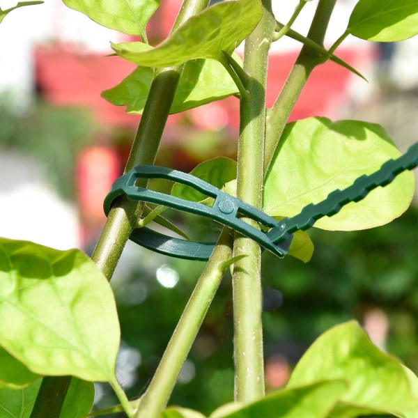 200 stk 23 cm plastklemmer for tomater, planter / hage