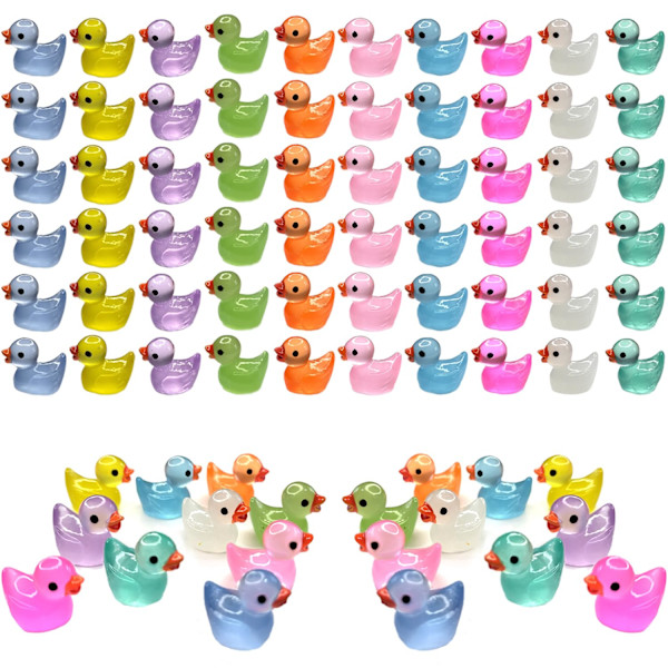 60 stk. Mini Resin Ænder - Lysende Små Ænder til DIY Have, Dukkehus Tilbehør, Glød i Mørket, Mikro Landskab Dekoration 60pcsx10kind