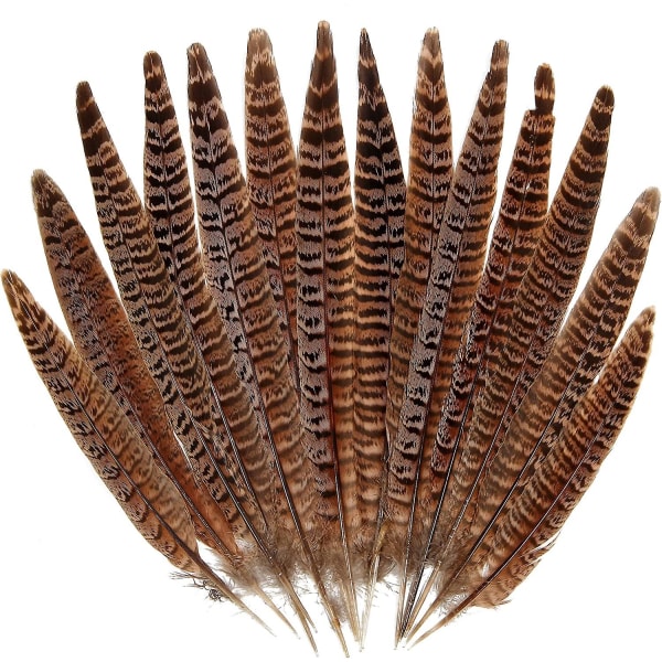 20pcs Natural Pheasant Feathers Female Tail Feathers 6-8 Inch For DIY Crafts Wedding Party Centerpieces Christmas Home Decor