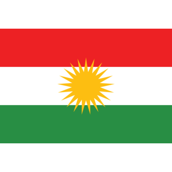 Flagga - Kurdistan 100