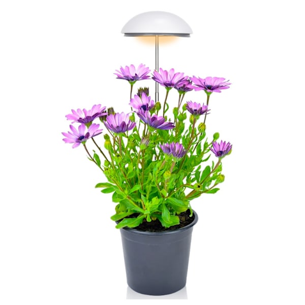 LED Grow Light til Indendørs Planter 2 Pak