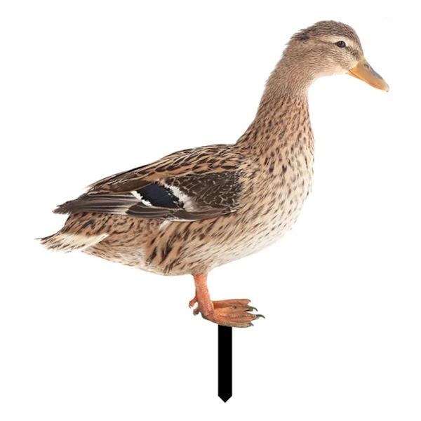 2D akryl anka dekoration, trädgård anka dekoration, anka fält konst trädgård insatser Realistisk anka trädgård staty figur B