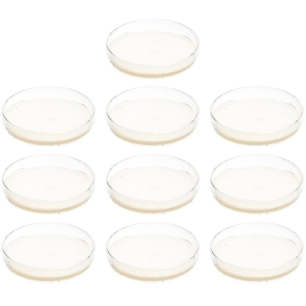 10 esitäytettyä agar-levyä petrimaljoja agar-tiedekokeiden lisävarusteilla