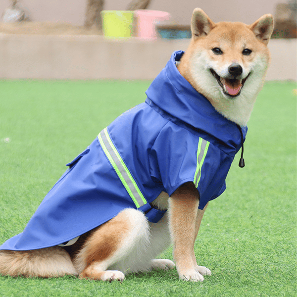 Hund Regnrock Poncho Jacka Husdjur Hund Slicker Regnrock Utrustning Regn