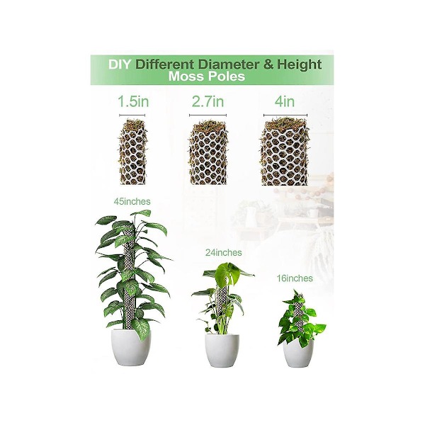 Plast Monstera-stolper i mesh-sett, selvvannende mosestolpe for planter, Monstera-støtte