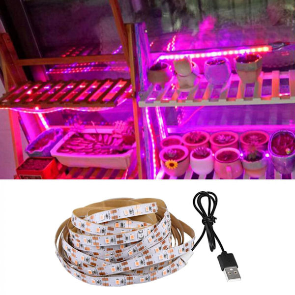 Fabrik 2835 SMD LED Grow Light Strip Växtlampa Växthus DC5V 0,5M