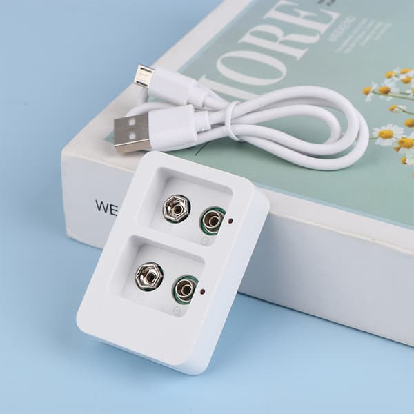 1 stk 2-plasser 9V Smart hurtig batterilader