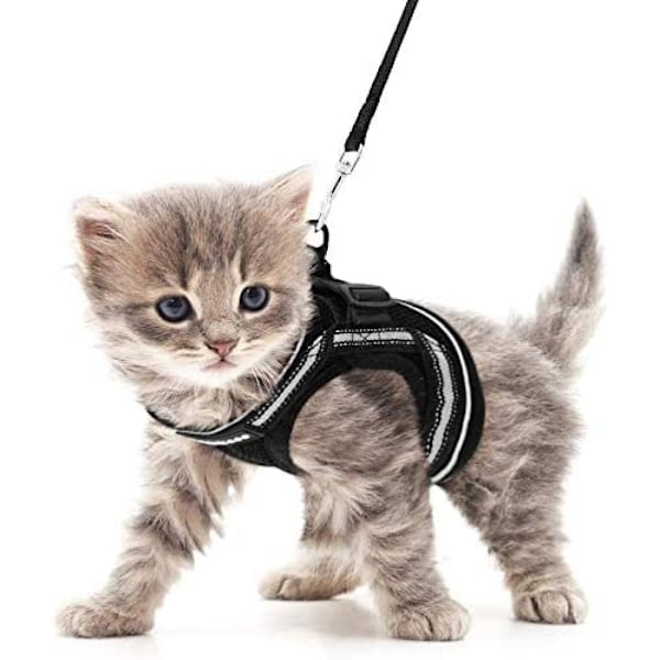 Little Dog Cat harness house leaves kitten harness adjustable