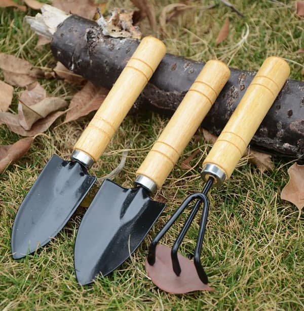 3-delars Mini Trädgårdsredskapsset med Smal Spade Bred Spade och Kratta för Omplantering av Suckulenter - Perfekt Trädgårdspresent