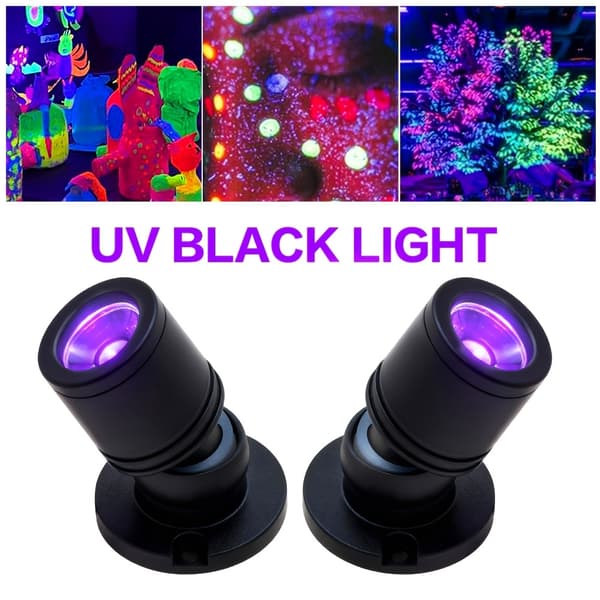 UV Blacklight LED Spotlight Kompakt Mini USB-drevet Displaylys til Vinskab Modelmontre i Sort Sølv Guld Black 12 heads