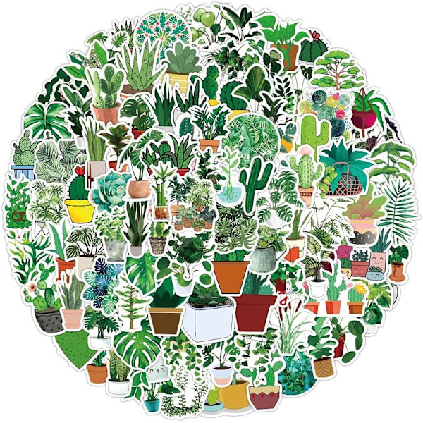 100 kpl elävää luonnonvihreää kasvitartraa - Salvia, kaktus, saniainen, kukat - Esteettiset tarrat Hydro Flask -vesipulloihin, päiväkirjaan, leikekirjaan, kannettaviin tietokoneisiin