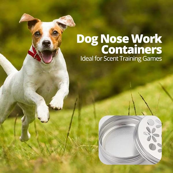 PCS Dog Scent Training Kit Nosework Container Metallbeholder