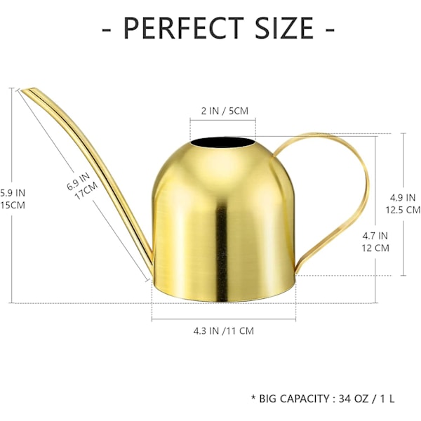 Vandkande i rustfrit stål med lang tud, guld, til indendørs og udendørs vanding af planter (guld) (1 stk)