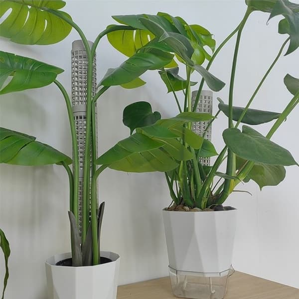 6st Moss Pole Plant Support Stakes Klätterväxtstöd för Monstera Pothos 6pcs