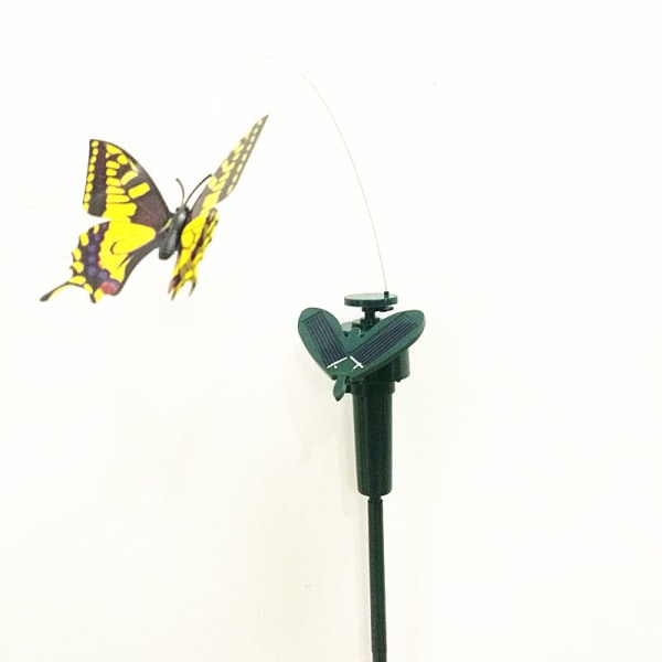 Soldriven Dans Fladdrande Fjärilar Flygande Kolibri Trädgårdsväxter Blommor Stake Trädgård Gräsmatta Dekor Mix Färg Mix Color Hummingbird