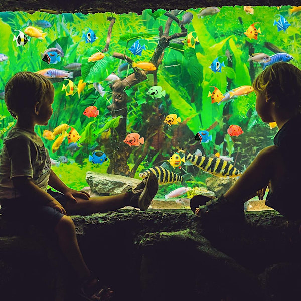 10 kpl Ocean Tropical Fish Uivat kalat Teko-trooppinen kala Random color Random color