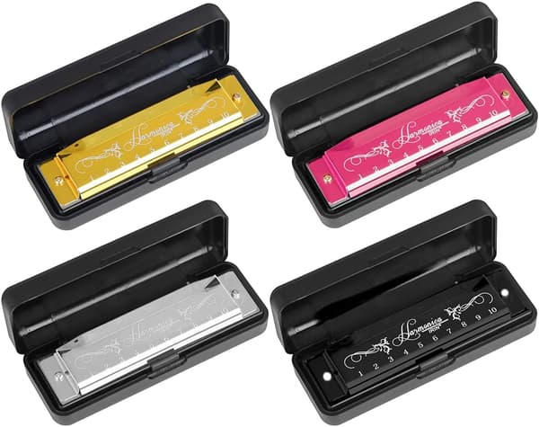 Blues Harmonica, Diatonisk Blues Harmonica i C-nøgle, 10 huller 20 toner Blues Harp Harmonica (Rose Red)[qb] silver
