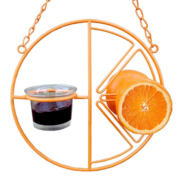 Automatisk fuglefoder Clementine Oriole Foder Orange