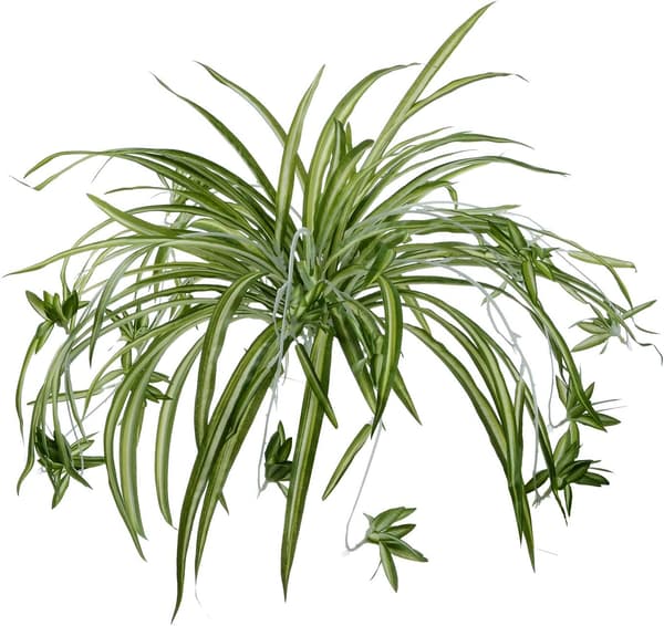 2-pack konstgjorda blommor spindelväxter falsk sidenväxt