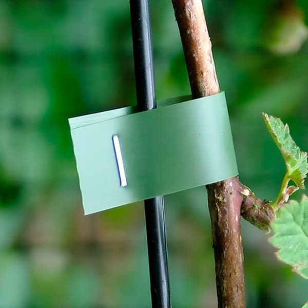 Planteopbindingsapparat Professionel til havebrug – Tapener（BT）