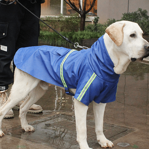 Hund Regnrock Poncho Jacka Husdjur Hund Slicker Regnrock Utrustning Regn