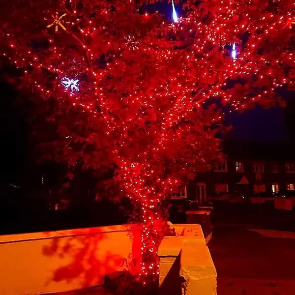 Lysstripe med 200 LED-lys, 20 meter lang, for julebelysning Rød Rød{wh} Red 400 LEDs