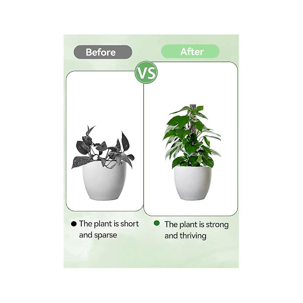 Plast Monstera Moss Stänger Mesh Kit, Självbevattnande Moss Stång för Växter, Monstera Stöd