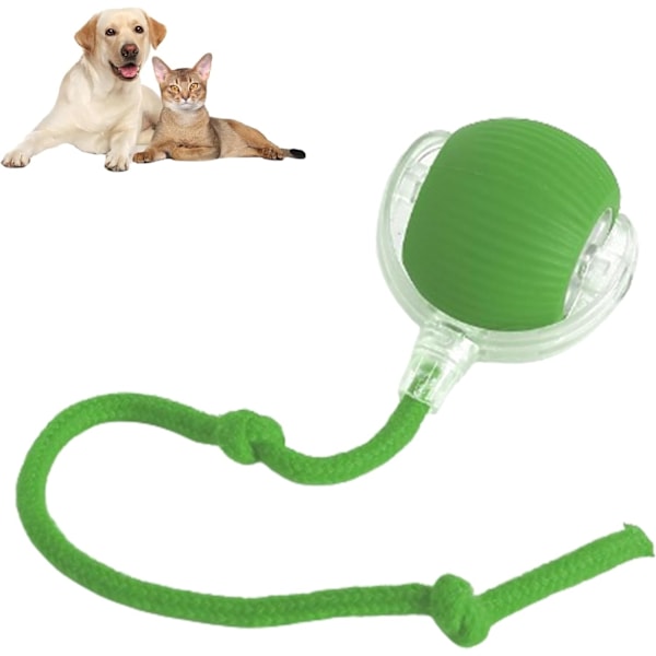 Interactive Rolling Dog Ball, Chewie Viral Rolling Ball, Chewie Ball for Dogs, Interactive Rolling Ball, Interactive Cat Ball Toy, 360° Smart(Green)