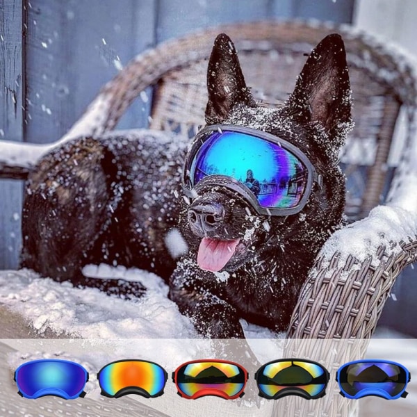 Justerbare Hunde Goggles Pet Anti-UV Solbriller 3