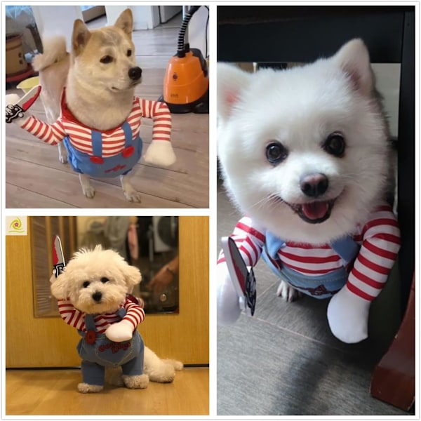Dödlig docka hundkostym, Chucky hund cosplay rolig Halloween jul hundkostym festkläder passar små medelstora stora hundar (M: Bröst 21\" - 27\")
