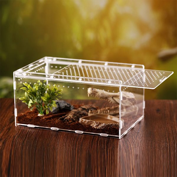 Akrylreptilterrarium Insekter Tarantlar Inhägnad Tankar Snigel Spindel Habitat Mini Critter Keeper Insektsbärare