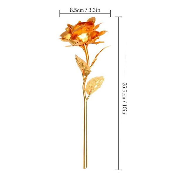 24k guldfolie Ros för evigt med presentförpackning Perfekt present till Alla hjärtans dag, mors dag födelsedag bröllop