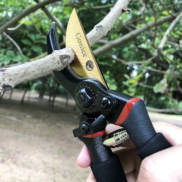 Professionella Premium Titanium Bypass-Beskärningssaxar, Handbeskärare, Trädgård