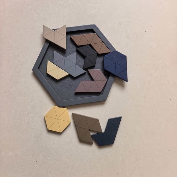 Puinen muotopalapeli - luovat rakennuspalikat Hexagon