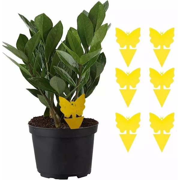 100-pack - Flugfälla / Flugfälla / Myggfälla - Fångar flugor Yellow Gul