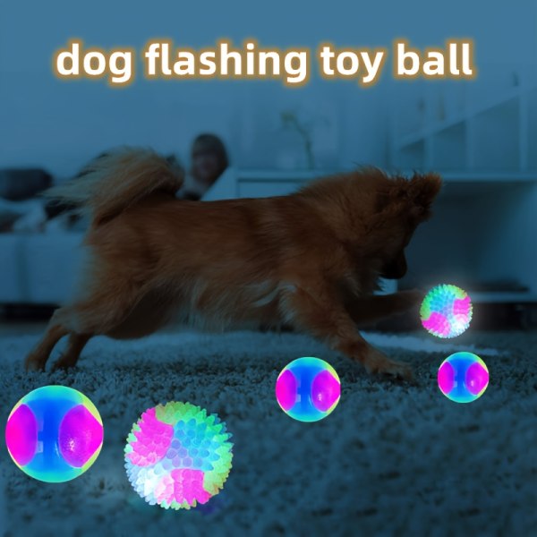Hund Flash leksak boll husdjur leksak boll #1